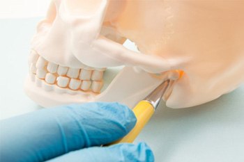A dentist pointing out the temporomandibular joint on a model skull
